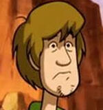 Shaggy