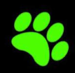 Chat Noir